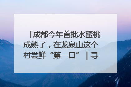 成都今年首批水蜜桃成熟了，在龙泉山这个村尝鲜“第一口”｜寻找和美乡村推荐官